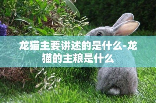 龍貓主要講述的是什么-龍貓的主糧是什么