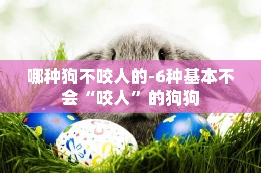 哪種狗不咬人的-6種基本不會“咬人”的狗狗