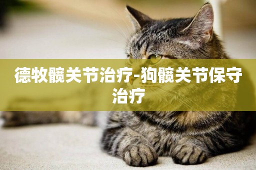 德牧髖關節治療-狗髖關節保守治療