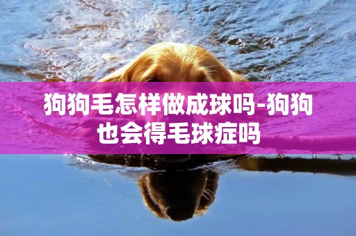 狗狗毛怎樣做成球嗎-狗狗也會得毛球癥嗎