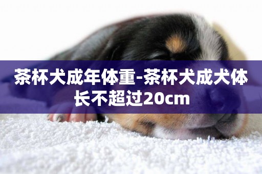茶杯犬成年體重-茶杯犬成犬體長不超過20cm