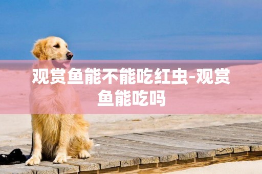觀賞魚能不能吃紅蟲-觀賞魚能吃嗎