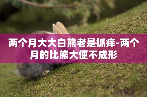 兩個月大大白熊老是抓癢-兩個月的比熊大便不成形