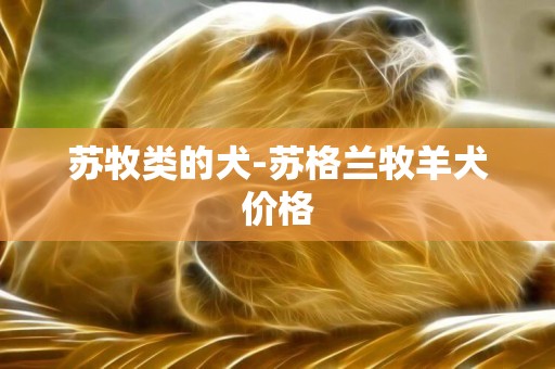 蘇牧類的犬-蘇格蘭牧羊犬價格