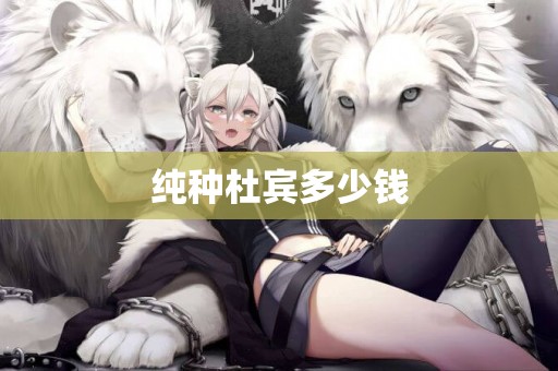 純種杜賓多少錢