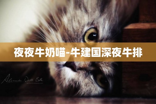 夜夜牛奶喵-牛建國深夜牛排