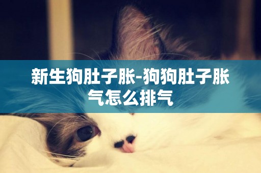 新生狗肚子脹-狗狗肚子脹氣怎么排氣