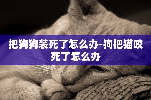 把狗狗裝死了怎么辦-狗把貓咬死了怎么辦