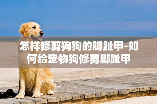 怎樣修剪狗狗的腳趾甲-如何給寵物狗修剪腳趾甲