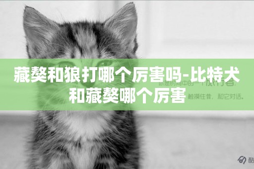 藏獒和狼打哪個厲害嗎-比特犬和藏獒哪個厲害