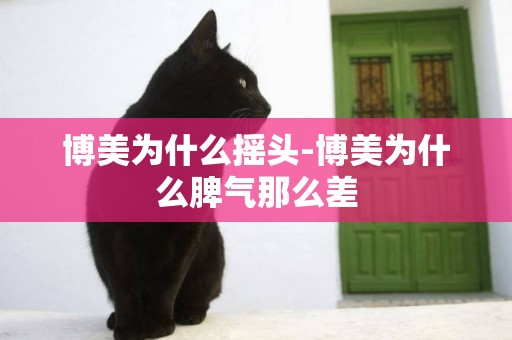 博美為什么搖頭-博美為什么脾氣那么差
