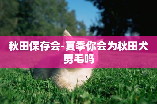 秋田保存會-夏季你會為秋田犬剪毛嗎