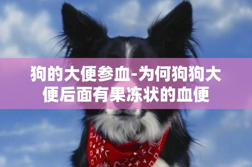 狗的大便參血-為何狗狗大便后面有果凍狀的血便
