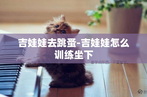吉娃娃去跳蚤-吉娃娃怎么訓練坐下
