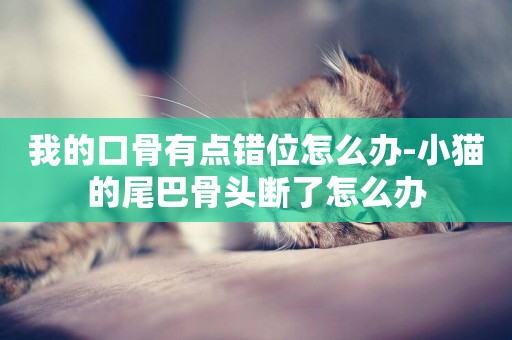 我的口骨有點錯位怎么辦-小貓的尾巴骨頭斷了怎么辦