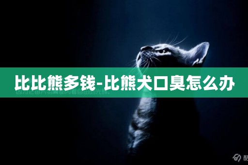 比比熊多錢-比熊犬口臭怎么辦