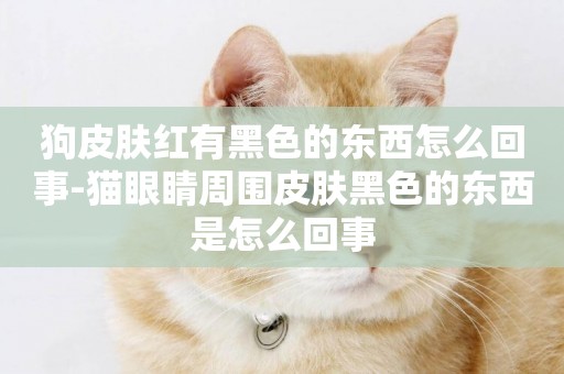 狗皮膚紅有黑色的東西怎么回事-貓眼睛周圍皮膚黑色的東西是怎么回事