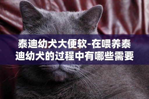 泰迪幼犬大便軟-在喂養泰迪幼犬的過程中有哪些需要注意的地方
