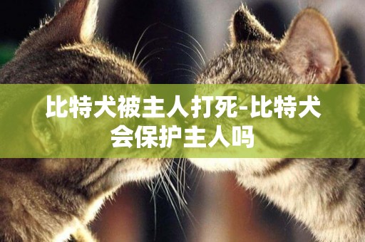 比特犬被主人打死-比特犬會保護主人嗎