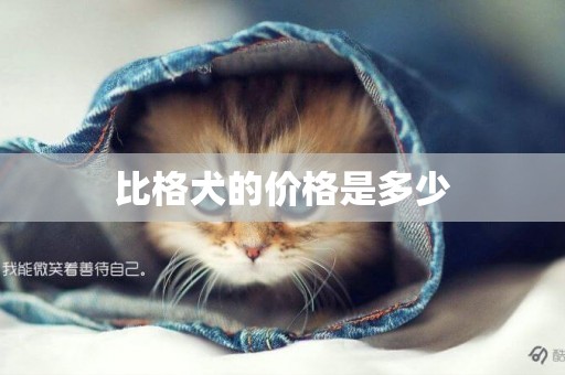 比格犬的價格是多少