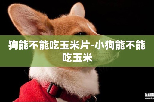 狗能不能吃玉米片-小狗能不能吃玉米