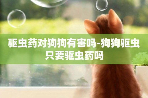驅蟲藥對狗狗有害嗎-狗狗驅蟲只要驅蟲藥嗎