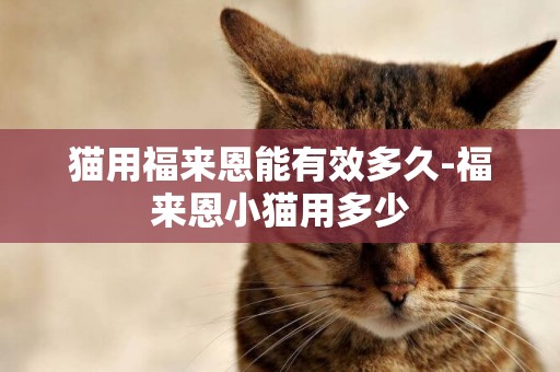 貓用福來恩能有效多久-福來恩小貓用多少