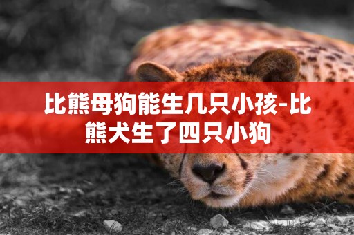 比熊母狗能生幾只小孩-比熊犬生了四只小狗