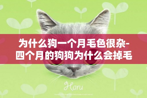 為什么狗一個月毛色很雜-四個月的狗狗為什么會掉毛