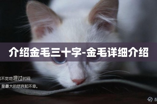 介紹金毛三十字-金毛詳細介紹