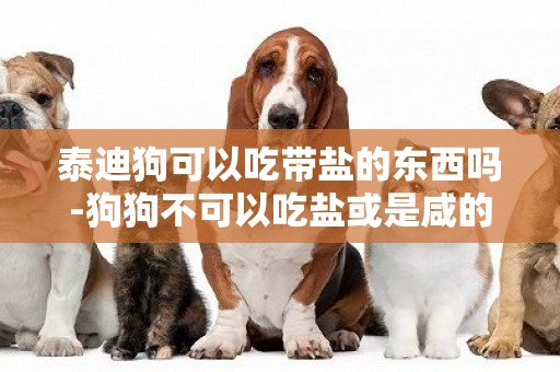 泰迪狗可以吃帶鹽的東西嗎-狗狗不可以吃鹽或是咸的東西