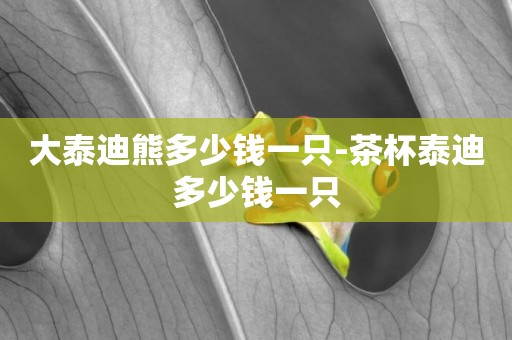 大泰迪熊多少錢一只-茶杯泰迪多少錢一只