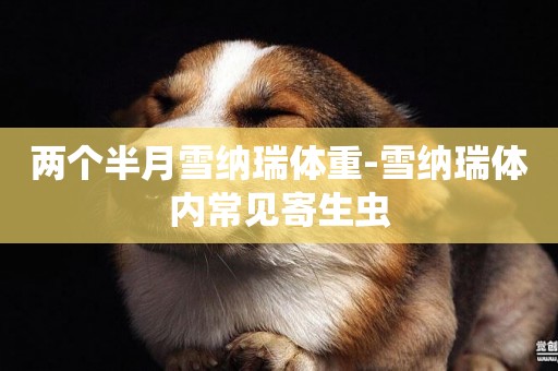 兩個半月雪納瑞體重-雪納瑞體內常見寄生蟲