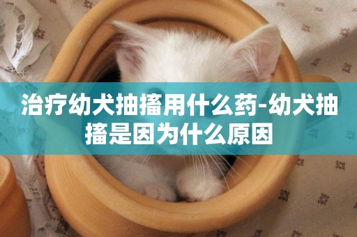 治療幼犬抽搐用什么藥-幼犬抽搐是因為什么原因