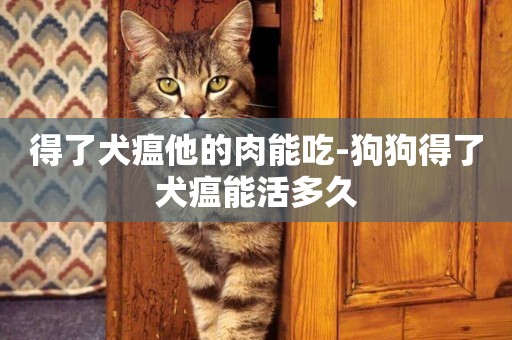 得了犬瘟他的肉能吃-狗狗得了犬瘟能活多久