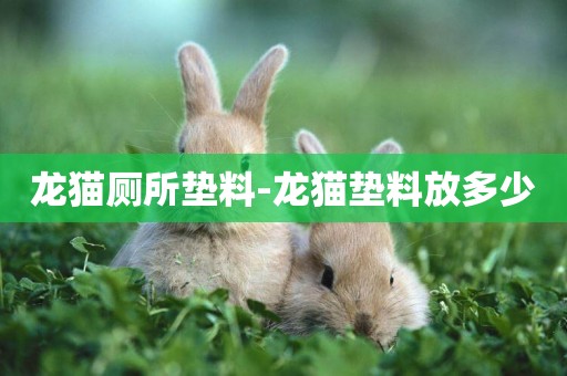 龍貓廁所墊料-龍貓墊料放多少