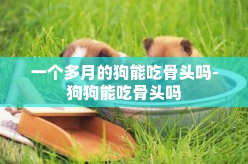 一個多月的狗能吃骨頭嗎-狗狗能吃骨頭嗎