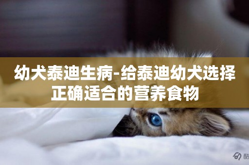幼犬泰迪生病-給泰迪幼犬選擇正確適合的營養食物