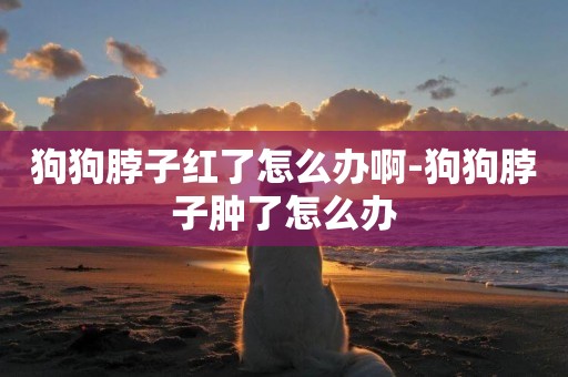 狗狗脖子紅了怎么辦啊-狗狗脖子腫了怎么辦
