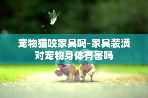 寵物貓咬家具嗎-家具裝潢對寵物身體有害嗎