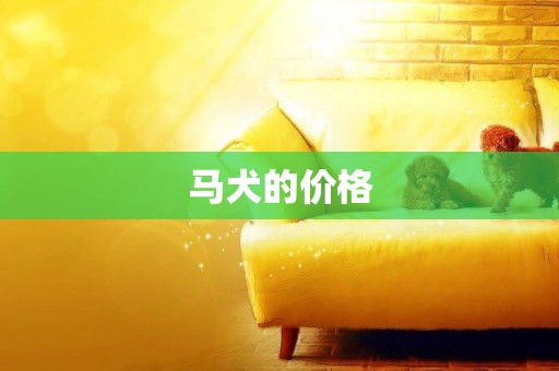 馬犬的價格