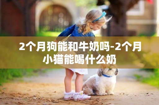 2個月狗能和牛奶嗎-2個月小貓能喝什么奶