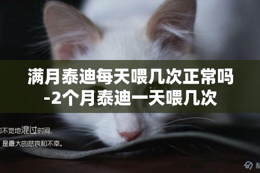 滿月泰迪每天喂幾次正常嗎-2個月泰迪一天喂幾次