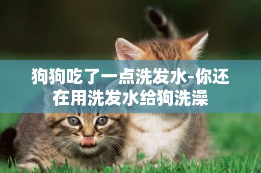 狗狗吃了一點洗發水-你還在用洗發水給狗洗澡