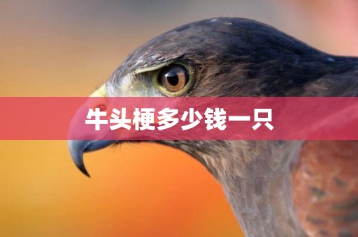 牛頭梗多少錢一只