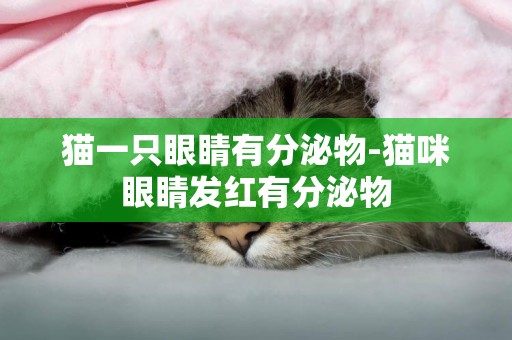 貓一只眼睛有分泌物-貓咪眼睛發紅有分泌物