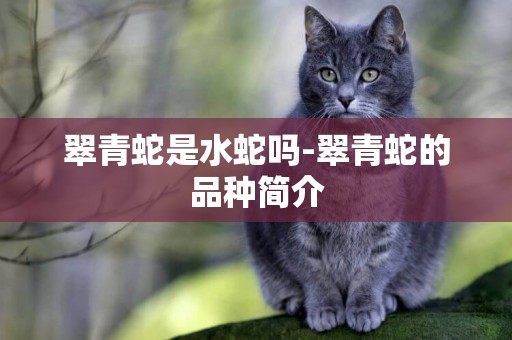 翠青蛇是水蛇嗎-翠青蛇的品種簡介