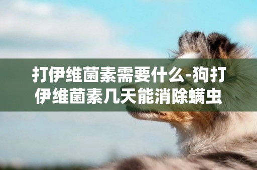 打伊維菌素需要什么-狗打伊維菌素幾天能消除螨蟲