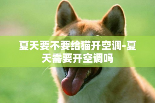 夏天要不要給貓開空調-夏天需要開空調嗎