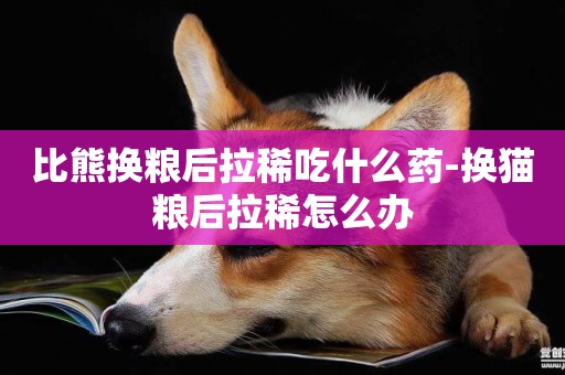 比熊換糧后拉稀吃什么藥-換貓糧后拉稀怎么辦